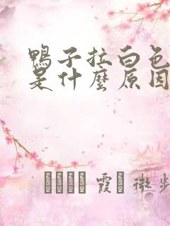 鸭子拉白色稀便是什么原因