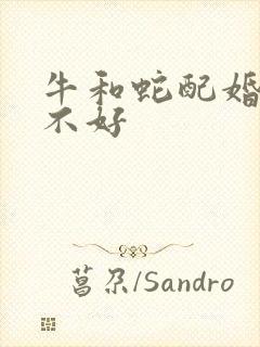 牛和蛇配婚姻好不好