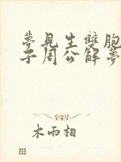 梦见生双胞胎儿子周公解梦