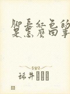 脚长红色的斑点是怎么回事