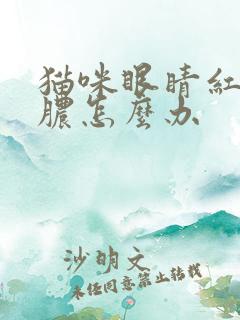 猫咪眼睛红肿流脓怎么办