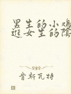 男生的小鸡鸡插进女生的阴道里