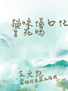 猫咪伤口化脓了会死吗