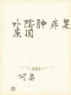 外阴肿疼是什么原因