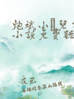 炮斌小苮儿有声小说免费听书