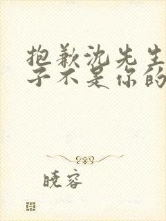 抱歉沈先生,孩子不是你的短剧播放