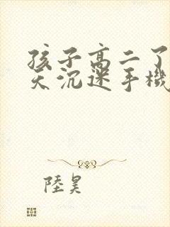 孩子高二了还整天沉迷手机怎么办