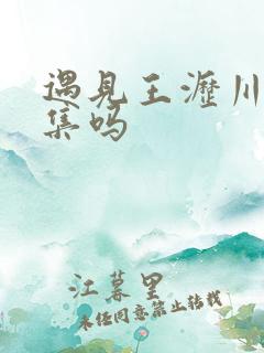 遇见王沥川有续集吗