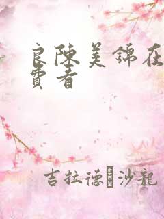 良陈美锦在线免费看