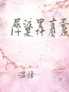 尿液里有蛋白质1+是什么原因