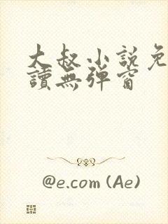 大叔小说免费阅读无弹窗