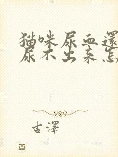 猫咪尿血还有点尿不出来怎么办