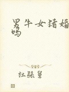 男牛女猪婚配好吗