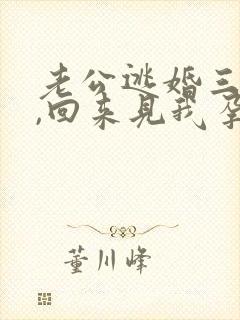 老公逃婚三年后,回来见我孕肚