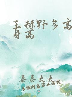 王赫野多高真实身高