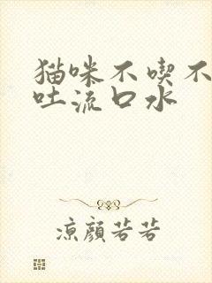 猫咪不吃不喝呕吐流口水