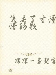 失去了才懂得珍惜的歌