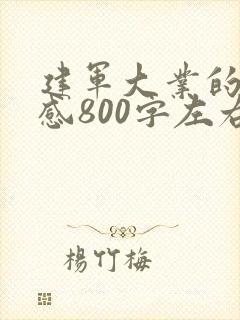 建军大业的观后感800字左右