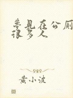 梦见在公厕小便很多人