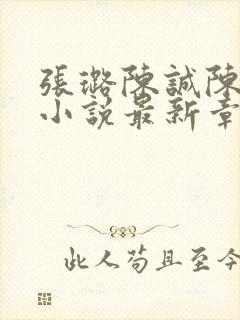 张璐陈诚陈梦的小说最新章节