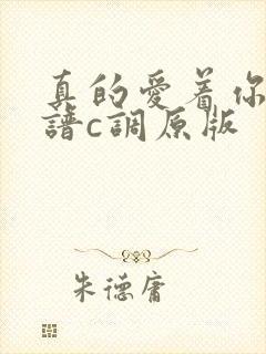 真的爱着你吉他谱c调原版