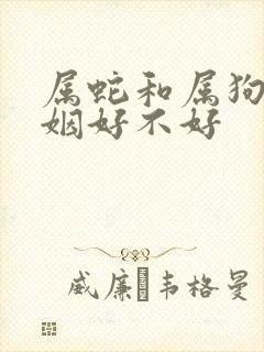 属蛇和属狗的婚姻好不好