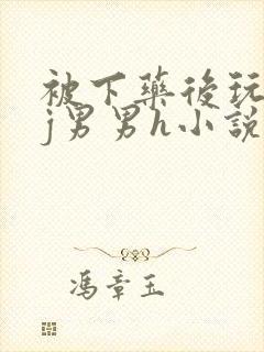 被下药后玩弄迷j男男h小说