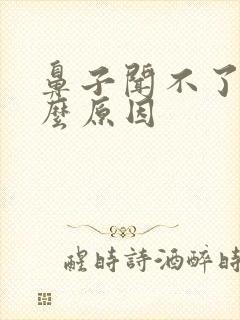 鼻子闻不了味什么原因