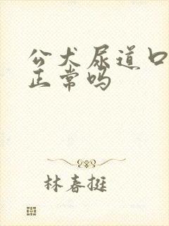 公犬尿道口黄脓正常吗