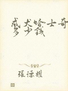 成犬哈士奇能卖多少钱