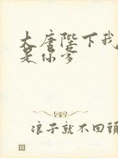 大唐陛下我真不是你爹