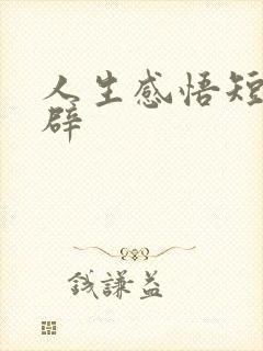 人生感悟短句精辟