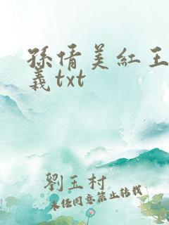 孙倩美红王申高义txt