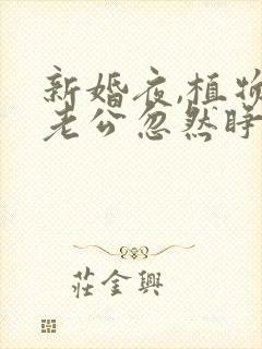 新婚夜,植物人老公忽然睁开眼简默全文