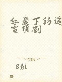 红岩下的追捕 电视剧