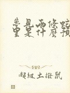 梦见两条蛇在家里是什么预兆