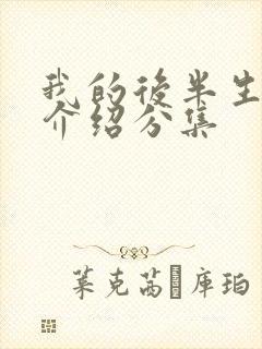 我的后半生剧情介绍分集