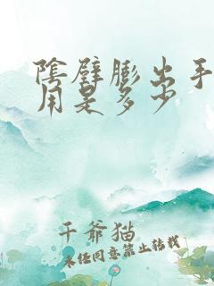 阴壁膨出手术费用是多少