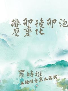 排卵后卵泡有什么变化