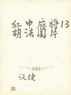 红中麻将13种胡法图片