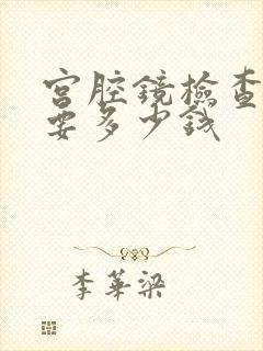 宫腔镜检查一般要多少钱