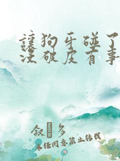 让狗牙碰了一下没破皮有事吗