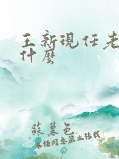 王新现任老婆叫什么