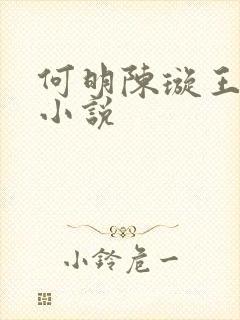 何明陈璇王雨馨小说