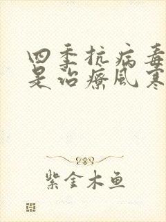 四季抗病毒合剂是治疗风寒感冒还是风热感冒