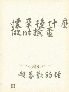 怀孕后什么时候做nt检查