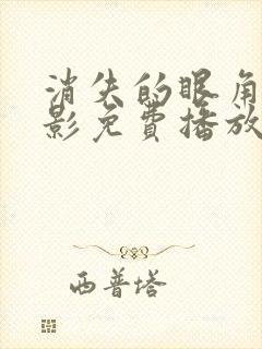 消失的眼角膜电影免费播放