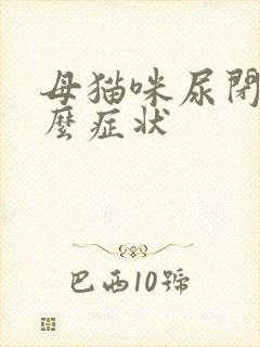 母猫咪尿闭是什么症状