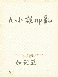 h小说np乱