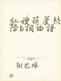 红嫂葫芦丝独奏降b调曲谱